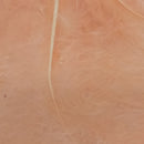 VENIARD MARABOU LARGE