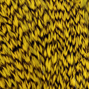 WHITING BUGGER PACK PIUME