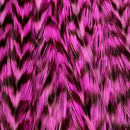 WHITING BUGGER PACK PIUME