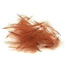 CDC Action Fly - Veniard