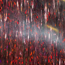 HARELINE FLASHABOU HOLO