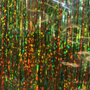 HARELINE FLASHABOU HOLO