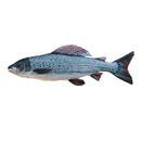 Cuscino Temolo - Temolo