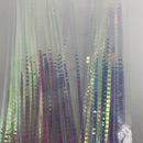 HEDRON LATERAL SCALE