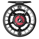 sage spectrum lt back