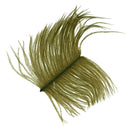 VENIARD OSTRICH HERL OSTRICH