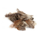 VENIARD WOODCOCK PLUMAGE